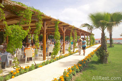 Cesars Resort Hotel 50